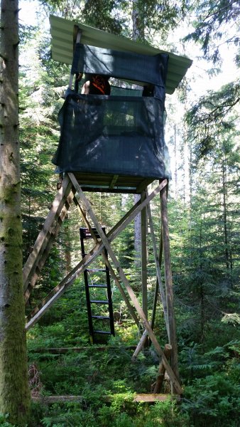 Hochsitzverblendung Rollenware: Zuschnitt 1,20 m breit, tannengrün