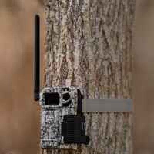 Spypoint Wildkamera Link-Micro-LTE